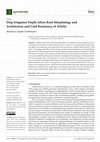 Research paper thumbnail of Drip Irrigation Depth Alters Root Morphology and Architecture and Cold Resistance of Alfalfa