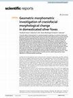 Research paper thumbnail of Geometric morphometric investigation of craniofacial morphological change in domesticated silver foxes