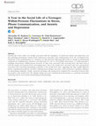 Research paper thumbnail of A Year in the Social Life of a Teenager: Within-Persons Fluctuations in Stress, Phone Communication, and Anxiety and Depression