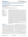 Research paper thumbnail of Correspondence between structure and function in the human brain at rest