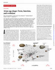 Research paper thumbnail of EVOLUTION Avian egg shape : Form , function , and evolution