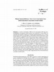 Research paper thumbnail of Human immunodeficiency virus reverse transcriptase base misincorporations can promote strand transfer