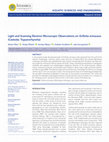 Research paper thumbnail of Light and Scanning Electron Microscopic Observations on Grillotia erinaceus (Cestoda: Trypanorhyncha