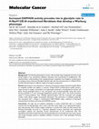 Research paper thumbnail of Increased OXPHOS activity precedes rise in glycolytic rate in H-RasV12/E1A transformed fibroblasts that develop a Warburg phenotype