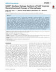 Research paper thumbnail of NAMPT-Mediated Salvage Synthesis of NAD+ Controls Morphofunctional Changes of Macrophages