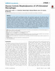 Research paper thumbnail of Glucose Controls Morphodynamics of LPS-Stimulated Macrophages