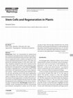 Research paper thumbnail of Stem Cells and Regeneration in Plants