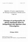 Research paper thumbnail of Clonage et cartographie de gènes impliqués dans la biosynthèse des lignines chez l'Eucalyptus