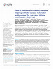 Research paper thumbnail of Dnmt3a knockout in excitatory neurons impairs postnatal synapse maturation and increases the repressive histone modification H3K27me3