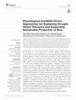 Research paper thumbnail of Physiological and Multi-Omics Approaches for Explaining Drought Stress Tolerance and Supporting Sustainable Production of Rice