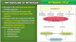 Research paper thumbnail of Nitrogen Cycle Biology Notes