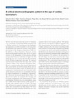 Research paper thumbnail of A critical electrocardiographic pattern in the age of cardiac biomarkers