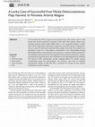 Research paper thumbnail of A Lucky Case of Successful Free Fibula Osteocutaneous Flap Harvest in Peronea Arteria Magna