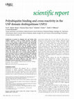 Research paper thumbnail of Polyubiquitin binding and cross‐reactivity in the USP domain deubiquitinase USP21