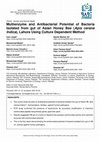 Research paper thumbnail of Multienzyme and Antibacterial Potential of Bacteria Isolated from gut of Asian Honey Bee (Apis cerana Indica), Lahore Using Culture Dependent Method