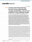 Research paper thumbnail of Context aware deep learning for brain tumor segmentation, subtype classification, and survival prediction using radiology images