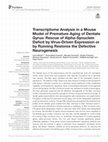 Research paper thumbnail of Transcriptome Analysis in a Mouse Model of Premature Aging of Dentate Gyrus: Rescue of Alpha-Synuclein Deficit by Virus-Driven Expression or by Running Restores the Defective Neurogenesis