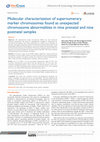 Research paper thumbnail of Molecular characterization of supernumerary marker chromosomes found as unexpected chromosome abnormalities in nine prenatal and nine postnatal samples