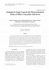 Research paper thumbnail of Endophytic Fungi Controls the Physicochemical Status of Maize Crop under Salt Stress