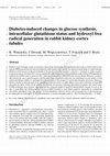 Research paper thumbnail of Diabetes-induced changes in glucose synthesis, intracellular glutathione status and hydroxyl free radical generation in rabbit kidney-cortex tubules