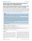 Research paper thumbnail of Systems-Scale Analysis Reveals Pathways Involved in Cellular Response to Methamphetamine