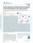 Research paper thumbnail of Structural Characterization and Binding Studies of the Ectodomain G Protein of Respiratory Syncytial Virus Reveal the Crucial Role of pH with Possible Implications in Host–Pathogen Interactions