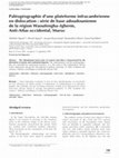 Research paper thumbnail of Paléogéographie d'une plateforme infracambrienne en dislocation : série de base adoudounienne de la région Waoufengha–Igherm, Anti-Atlas occidental, Maroc