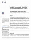 Research paper thumbnail of Heat, Acid and Chemically Induced Unfolding Pathways, Conformational Stability and Structure-Function Relationship in Wheat α-Amylase