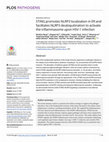 Research paper thumbnail of STING promotes NLRP3 localization in ER and facilitates NLRP3 deubiquitination to activate the inflammasome upon HSV-1 infection