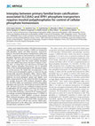 Research paper thumbnail of Interplay between primary familial brain calcification-associated SLC20A2 and XPR1 phosphate transporters requires inositol polyphosphates for control of cellular phosphate homeostasis