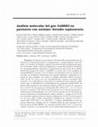 Research paper thumbnail of [Molecular analysis of the GABRB3 gene in autistic patients: an exploratory study]