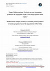 Research paper thumbnail of Tanger Méditerranéenne, Territoire en essor économique producteur de ségrégation sociale Cas du méga-quartier de Bir Chifae