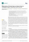 Research paper thumbnail of Segmentation of Preretinal Space in Optical Coherence Tomography Images Using Deep Neural Networks