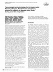 Research paper thumbnail of Two-pronged survival strategy for the major cystic fibrosis pathogen, Pseudomonas aeruginosa, lacking the capacity to degrade nitric oxide during anaerobic respiration