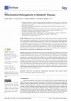 Research paper thumbnail of Mitochondrial Heterogeneity in Metabolic Diseases