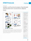 Research paper thumbnail of Isolation and functional analysis of peridroplet mitochondria from murine brown adipose tissue