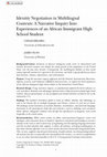 Research paper thumbnail of Identity Negotiation in Multilingual Contexts: A Narrative Inquiry into Experiences of an African Immigrant High School Student