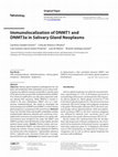 Research paper thumbnail of Immunolocalization of DNMT1 and DNMT3a in Salivary Gland Neoplasms