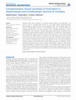 Research paper thumbnail of Complementary neural correlates of motivation in dopaminergic and noradrenergic neurons of monkeys