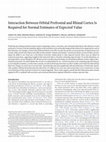 Research paper thumbnail of Interaction Between Orbital Prefrontal and Rhinal Cortex Is Required for Normal Estimates of Expected Value