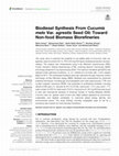 Research paper thumbnail of Biodiesel Synthesis From Cucumis melo Var. agrestis Seed Oil: Toward Non-food Biomass Biorefineries.pdf