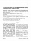 Research paper thumbnail of EP300 contributes to high-altitude adaptation in Tibetans by regulating nitric oxide production