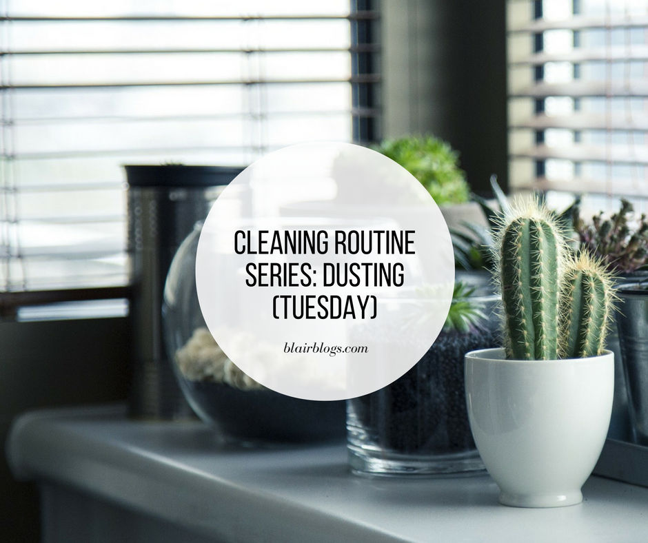 Cleaning Routine Series: Dusting (Tuesday) | BlairBlogs.com