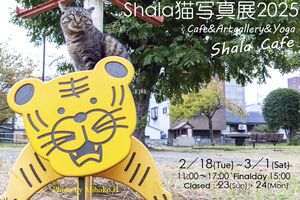 「Shala猫写真展2025」参加のお知らせ（12/26追記）