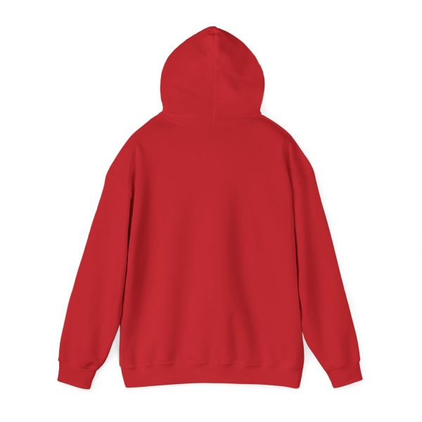 Brownstone Institute - Red Hoodie back