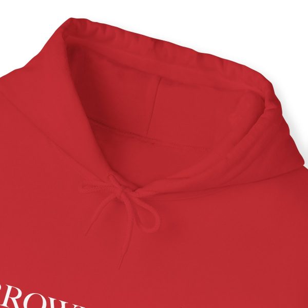 Brownstone Institute - Red Hoodie Detail