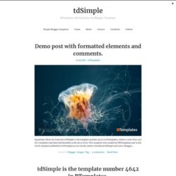 tdSimple Blogger Template