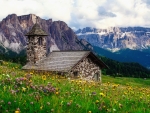 Spring in Alps