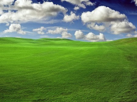 Green Field - green field, nice open view, nature