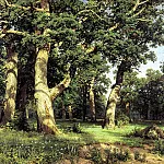 Shishkin Ivan – Oak Grove, 900 Classic russian paintings